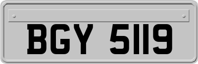 BGY5119