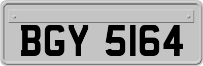 BGY5164