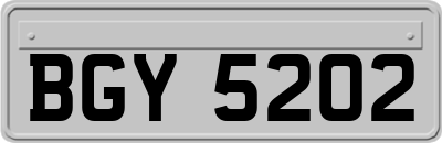 BGY5202