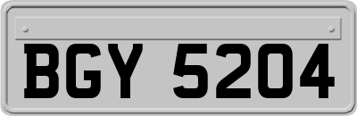 BGY5204