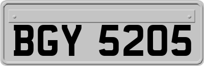 BGY5205
