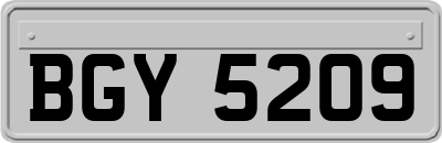 BGY5209