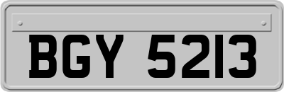 BGY5213