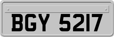 BGY5217