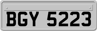 BGY5223