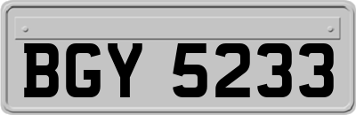 BGY5233