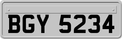 BGY5234