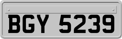 BGY5239