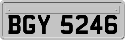 BGY5246