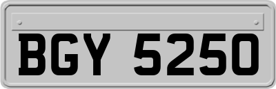 BGY5250