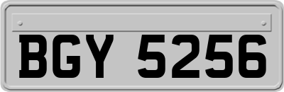 BGY5256