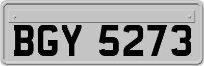 BGY5273