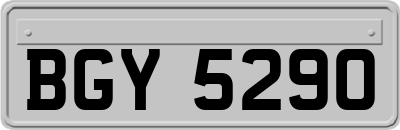BGY5290