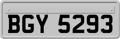 BGY5293