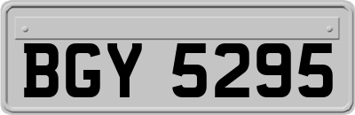 BGY5295