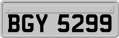 BGY5299