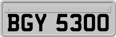 BGY5300