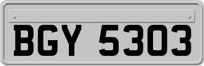 BGY5303