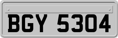 BGY5304