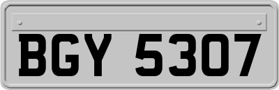 BGY5307