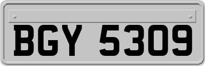 BGY5309