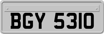 BGY5310