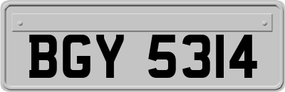 BGY5314