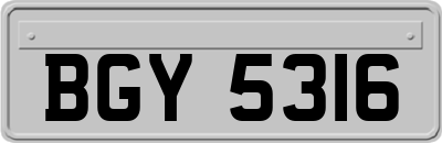 BGY5316