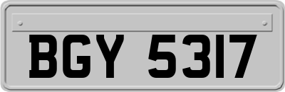 BGY5317