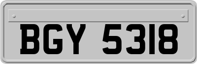 BGY5318