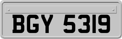 BGY5319
