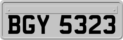 BGY5323