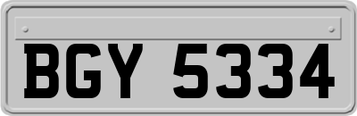 BGY5334