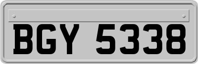 BGY5338