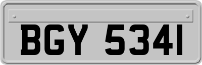 BGY5341
