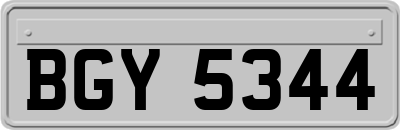 BGY5344