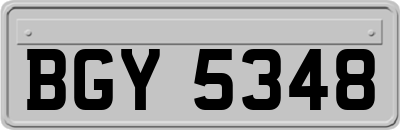 BGY5348