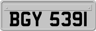 BGY5391