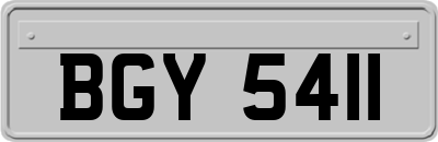 BGY5411