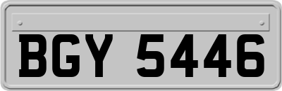 BGY5446