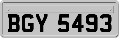 BGY5493