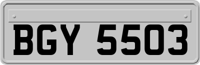 BGY5503