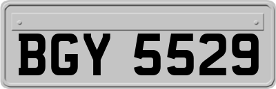 BGY5529