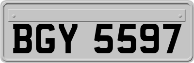 BGY5597