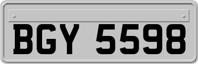 BGY5598