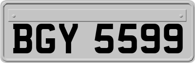 BGY5599