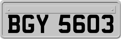 BGY5603