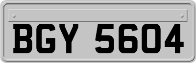 BGY5604