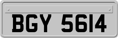 BGY5614