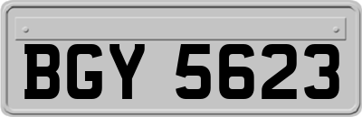 BGY5623